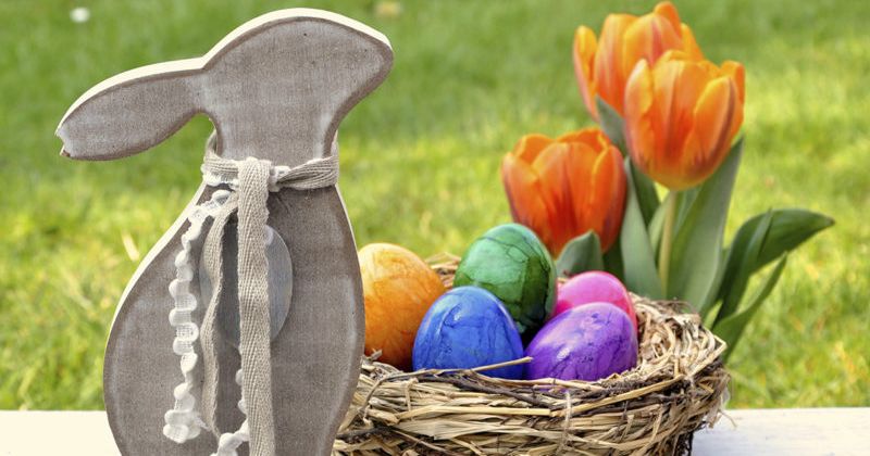 Das Gelbe vom Ei zu Ostern